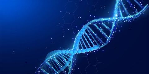 微生物DNA的悄然读取 生物技术开发中的细胞与微生物“偶遇”