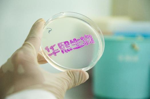 推动绿色发展 华熙生物以生物科技引领生产革命