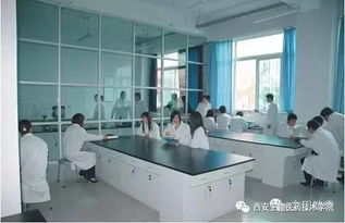 我的教育情怀 西安生物医药技术学院发展规划与生物技术开发